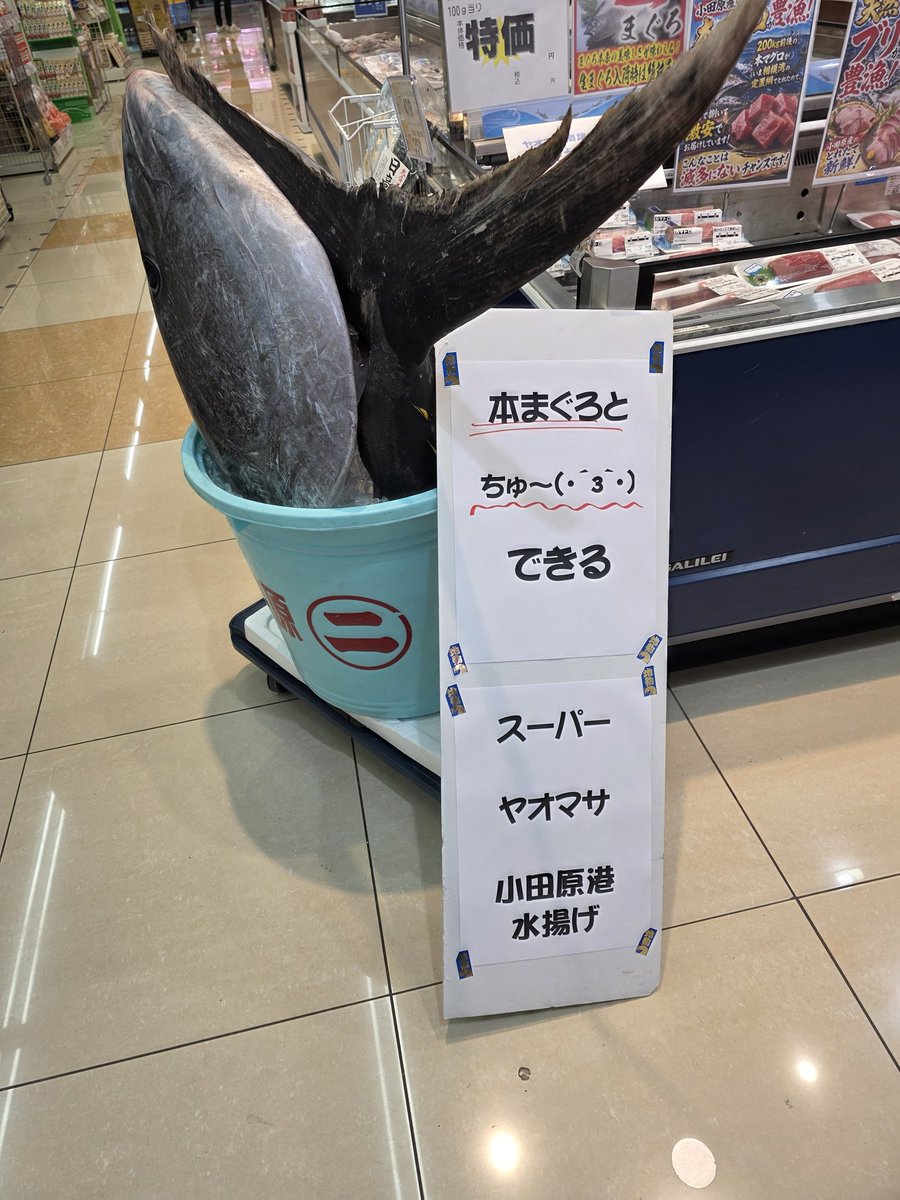 Sphere_555's tweet photo. 小田原の方のスーパーに凄いもん置いてあったwちゅ〜(๑˘ ³˘๑)出来るってさ🤣 https://t.co/XktuN9VWiz