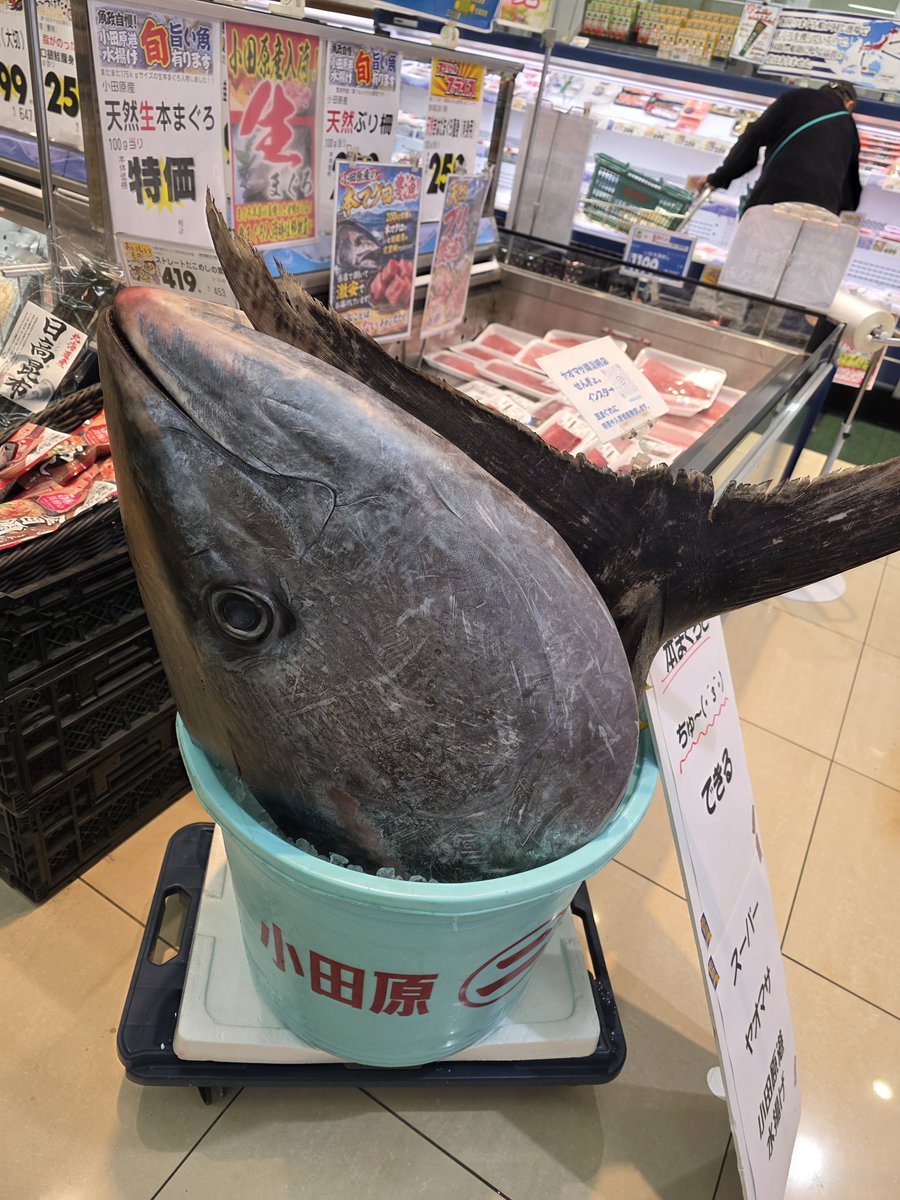 Sphere_555's tweet photo. 小田原の方のスーパーに凄いもん置いてあったwちゅ〜(๑˘ ³˘๑)出来るってさ🤣 https://t.co/XktuN9VWiz