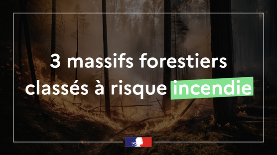Prefet43's tweet image. #prévention #feudeforêt

Un arrêté ministériel classe 3 massifs à risque incendie
➡️Piémont du Livradois
➡️Val d’Allier et contreforts de la Margeride
➡️Val de Loire et bordures

Ce classement entraînera la mise en place des #OLD

🔗 Arrêté (p.15) : urlr.me/6kXgRC