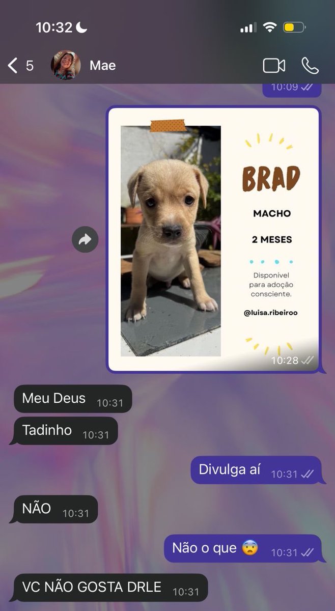 SHARPAY VAI VER O HARRY tweet media