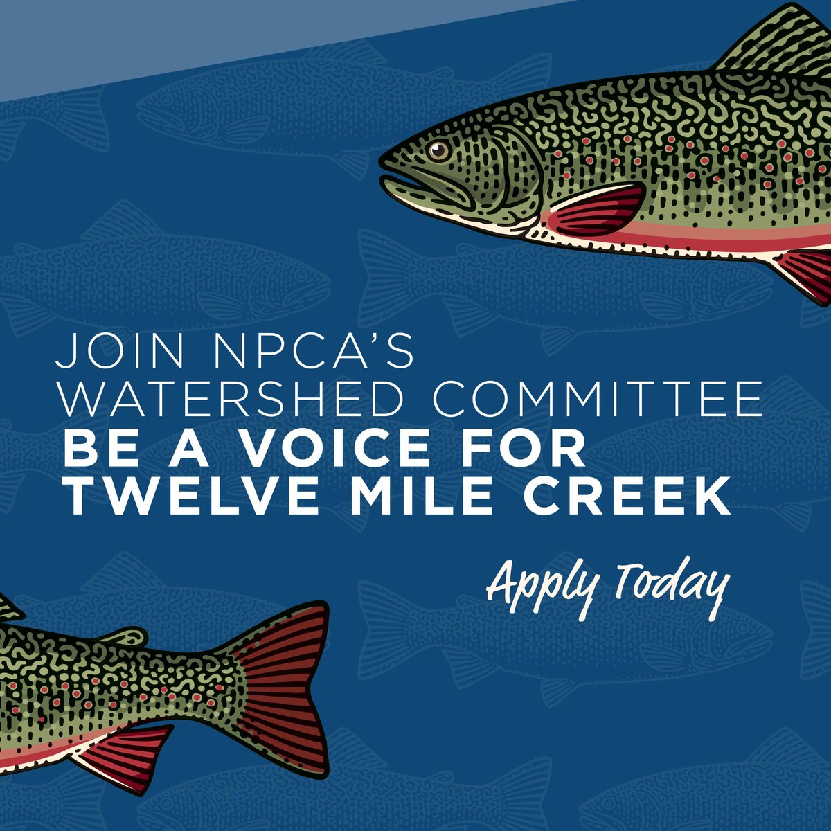 NPCA tweet media