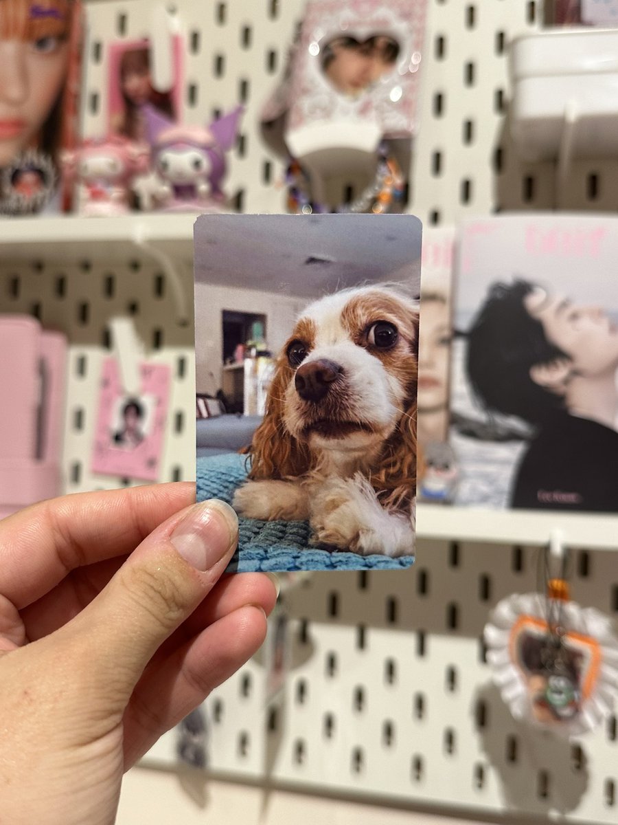 y’all will never believe this one photocard I have