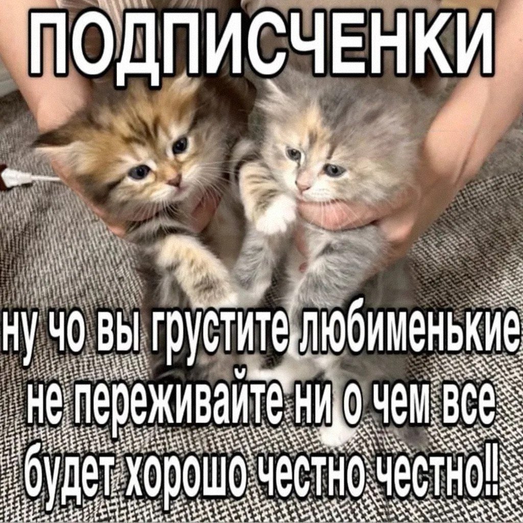Tim tweet media