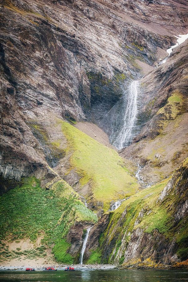 joancarroll's tweet image. Hercules Bay South Georgia Island Vertical! buff.ly/mweAupI #southgeorgia #mountains #landscape #vertical #wildlife #rocky #waterfalls #antarctica #nature #FAArtist #buyart #HomeDecor #wallart #artforsale #artstore #travel #travelphotography #wallartforsale #giftideas