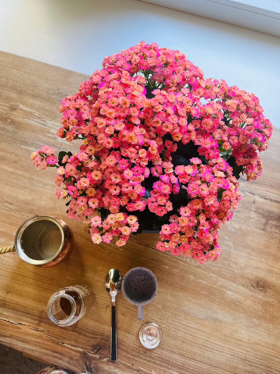 erikovicc's tweet photo. Que le café du jour soit fait avec des fleurs.. https://t.co/0SwVqIZuNH