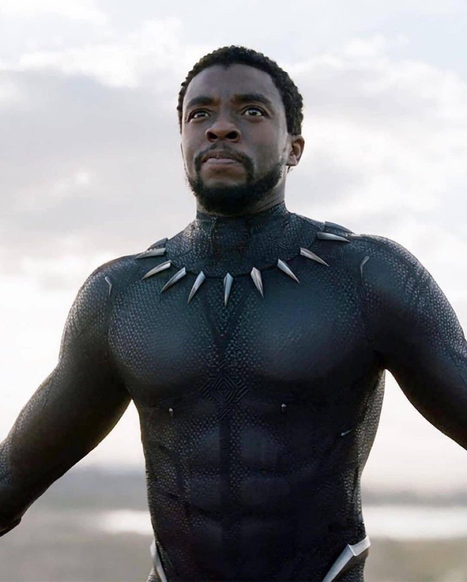 Diamie (fc catalyst 🔥🦅) tweet media