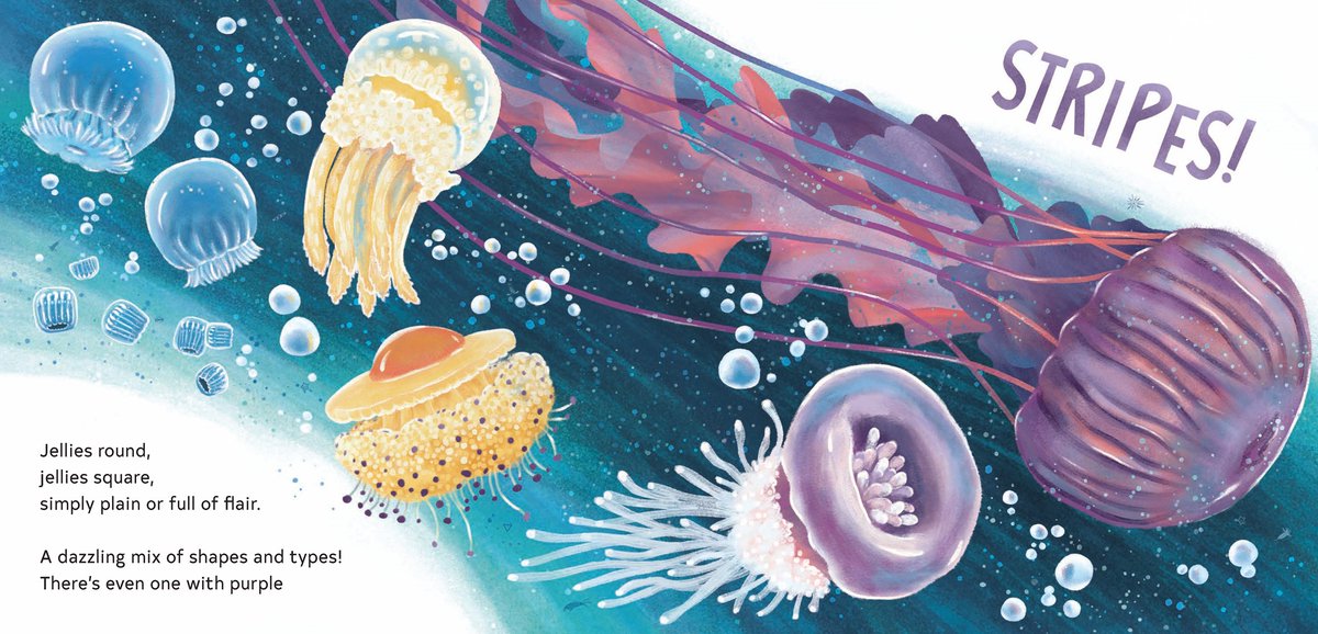 sincerelystacie's tweet photo. THE SECRETS OF THE JELLIES: Amazing Jellyfish and Their Surprising Talents by Karen Jameson, illus by Marie Hermansson @ChronicleKids offers kids a lesson on 22 various #jellyfish https://t.co/KJgmYJiPqR #childrensbook #picturebook #kidsbook #booksforkids #readaloud #readtolearn https://t.co/PztV48K7fY