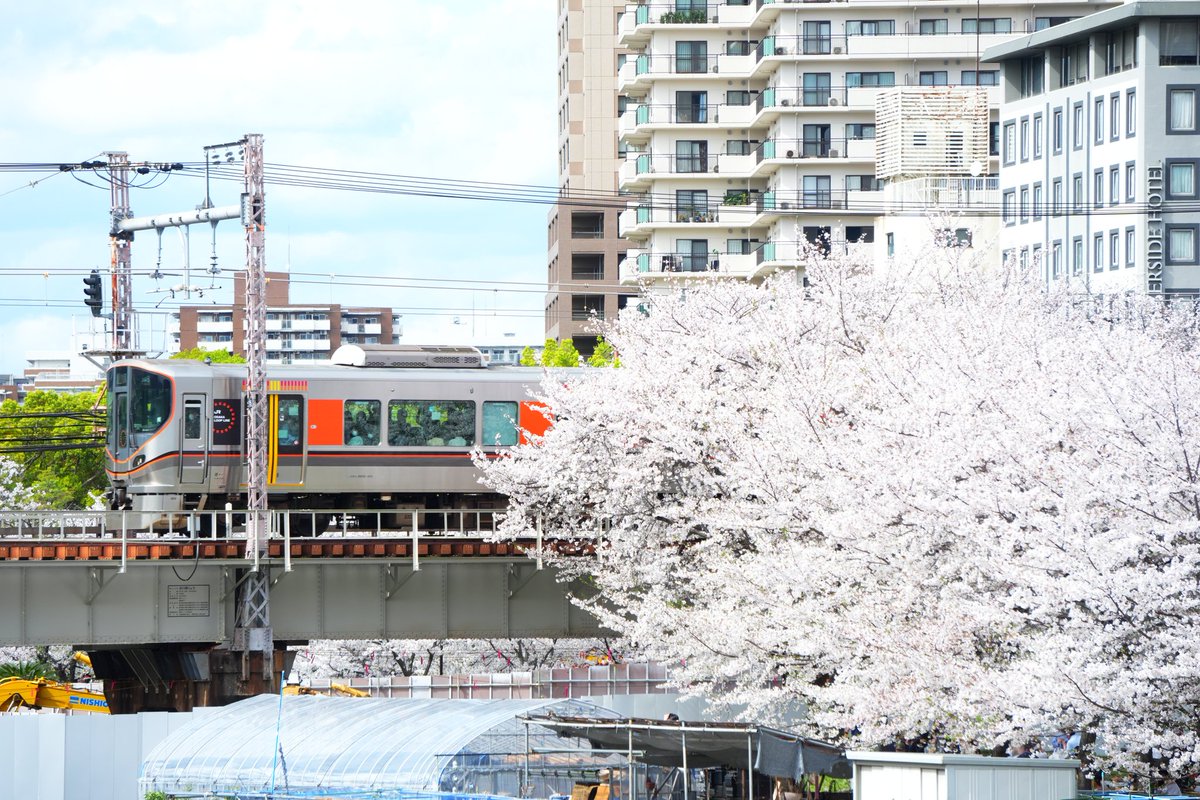 冴月-Satsuki- tweet media