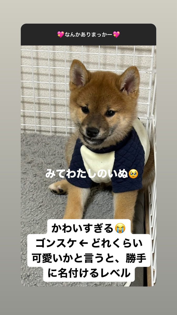 ずっと一緒にいようね tweet media