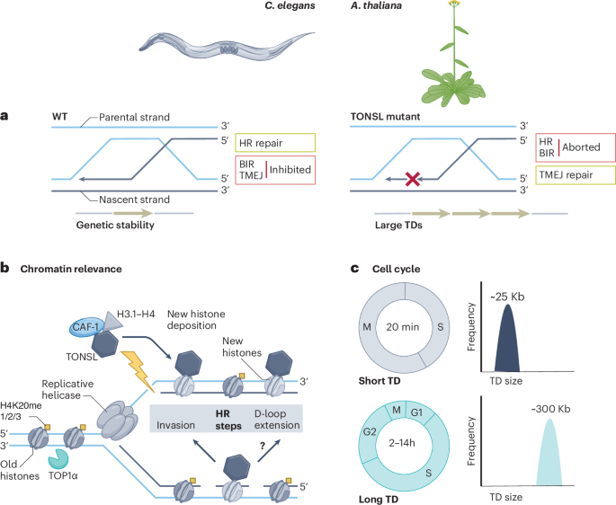NatureStructMolBiol tweet media