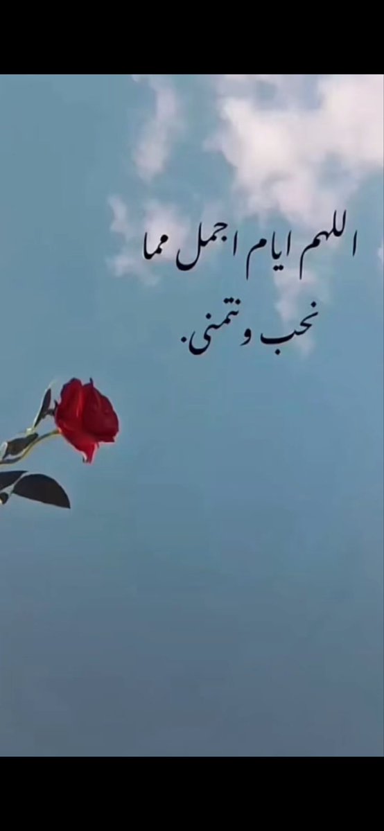 عطر الورد tweet media