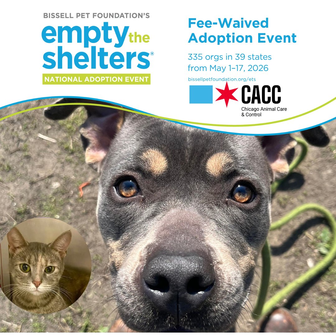Chicago Animal Care and Control tweet media