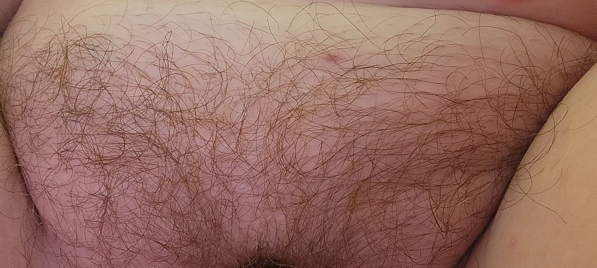 itsjustn1594's tweet photo. She's hairy af....Do i shave or keep the bush? #growingoutthebush #hairpussy #nsfw https://t.co/yro2Eo3uMA