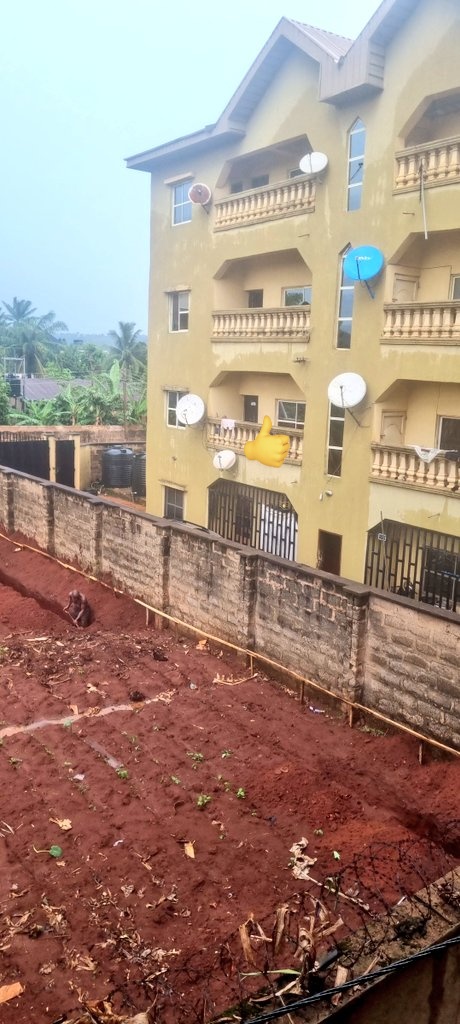 Yaribanza bandit tweet media