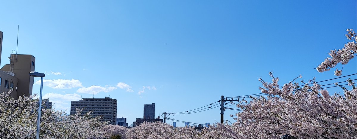 テレビ父さん tweet media