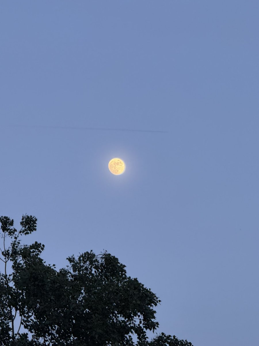 alaindelavie's tweet image. Elle était belle la Lune hier au soir au-dessus de la capitale. #printemps #lune #Paris