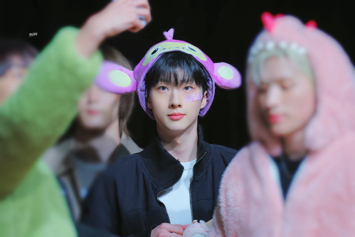 포도쿠키 tweet media