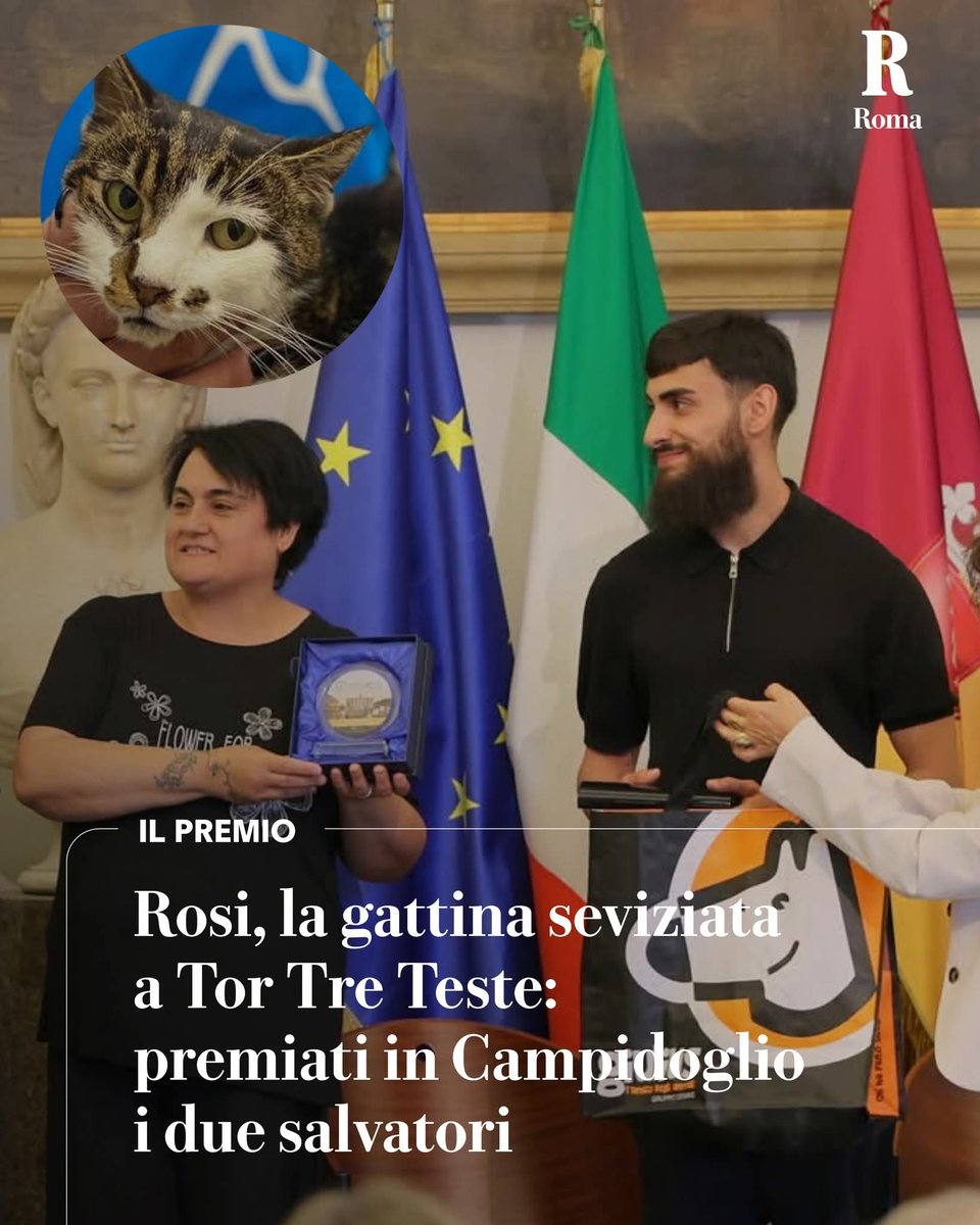 Francesco Borrelli tweet media
