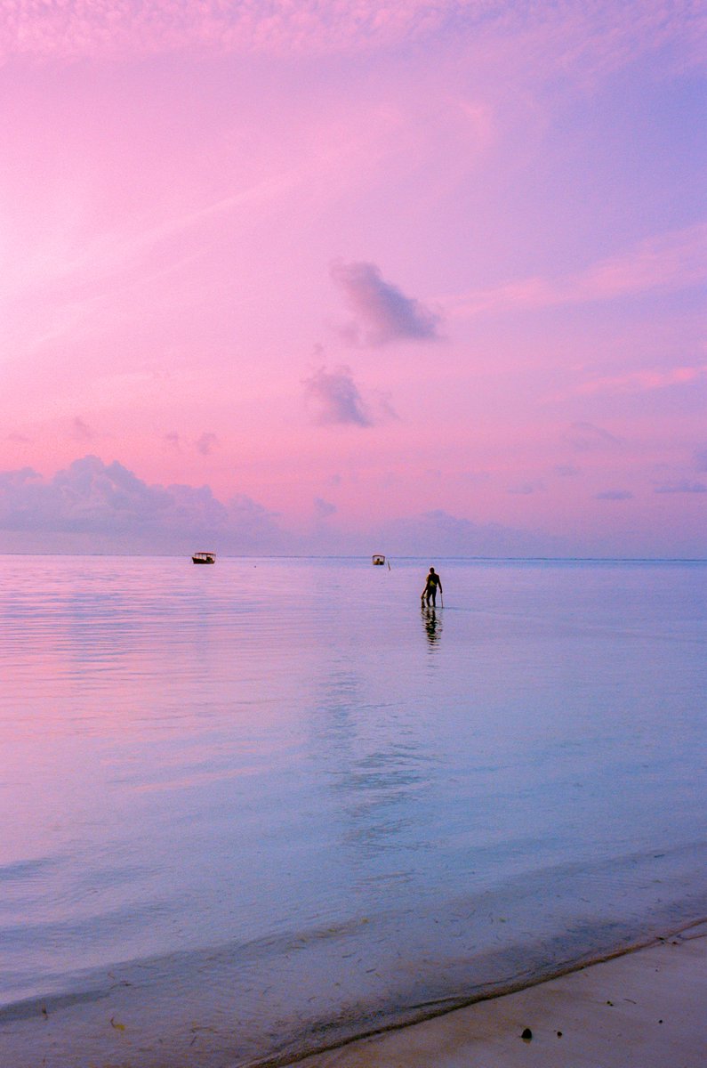 AlexKittoe's tweet photo. Colors of the coast https://t.co/0WkimUGbYk