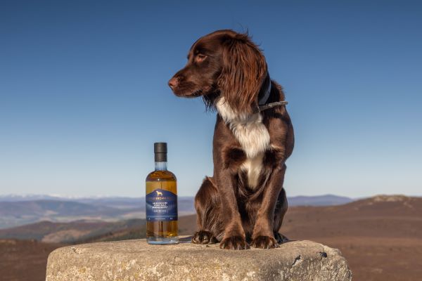 whiskyintel's tweet image. Little Brown Dog Launches First-Ever Core Expression tinyurl.com/3nvt4ts3 #scotch #malt #whisky #whiskey #bourbon @_littlebrowndog