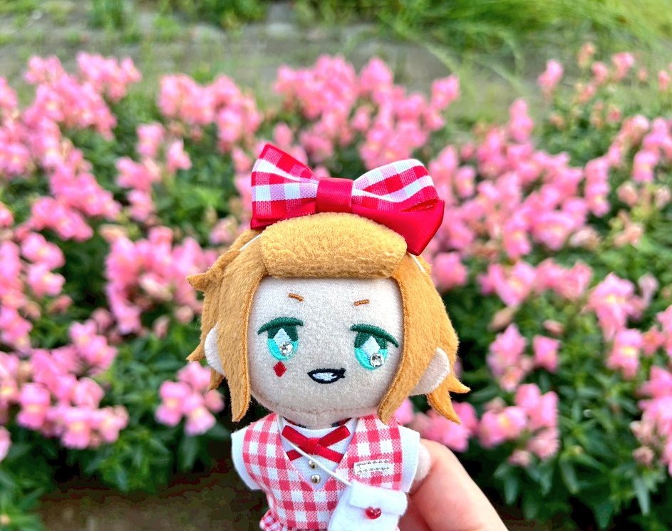 金宮🌸星願参加予定 tweet media