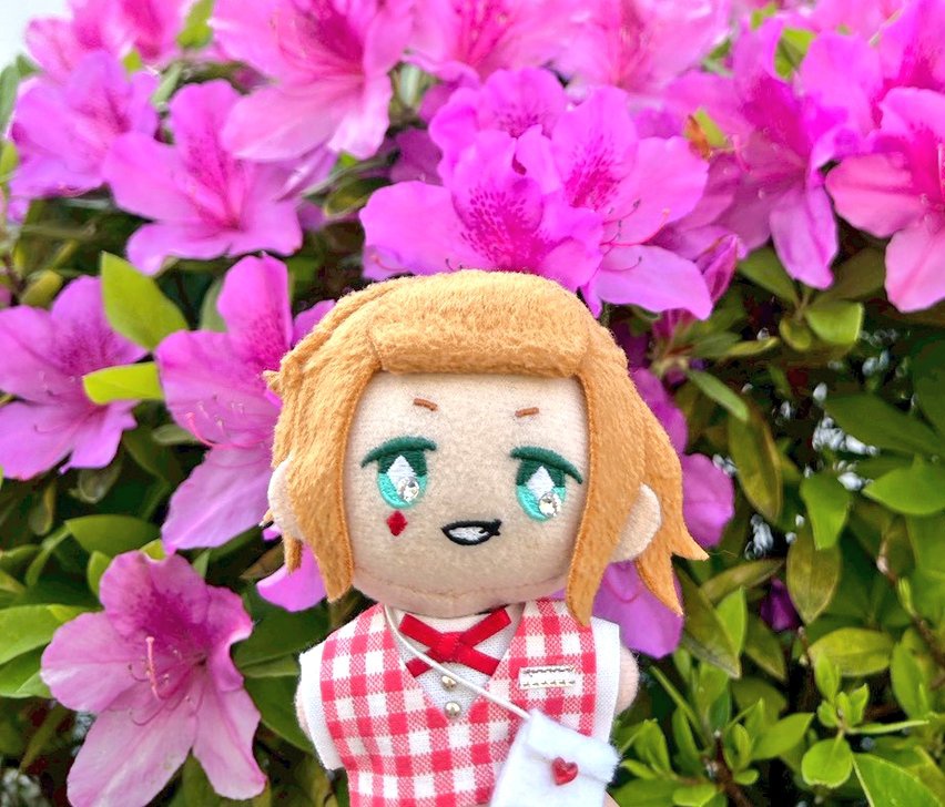 金宮🌸星願参加予定 tweet media