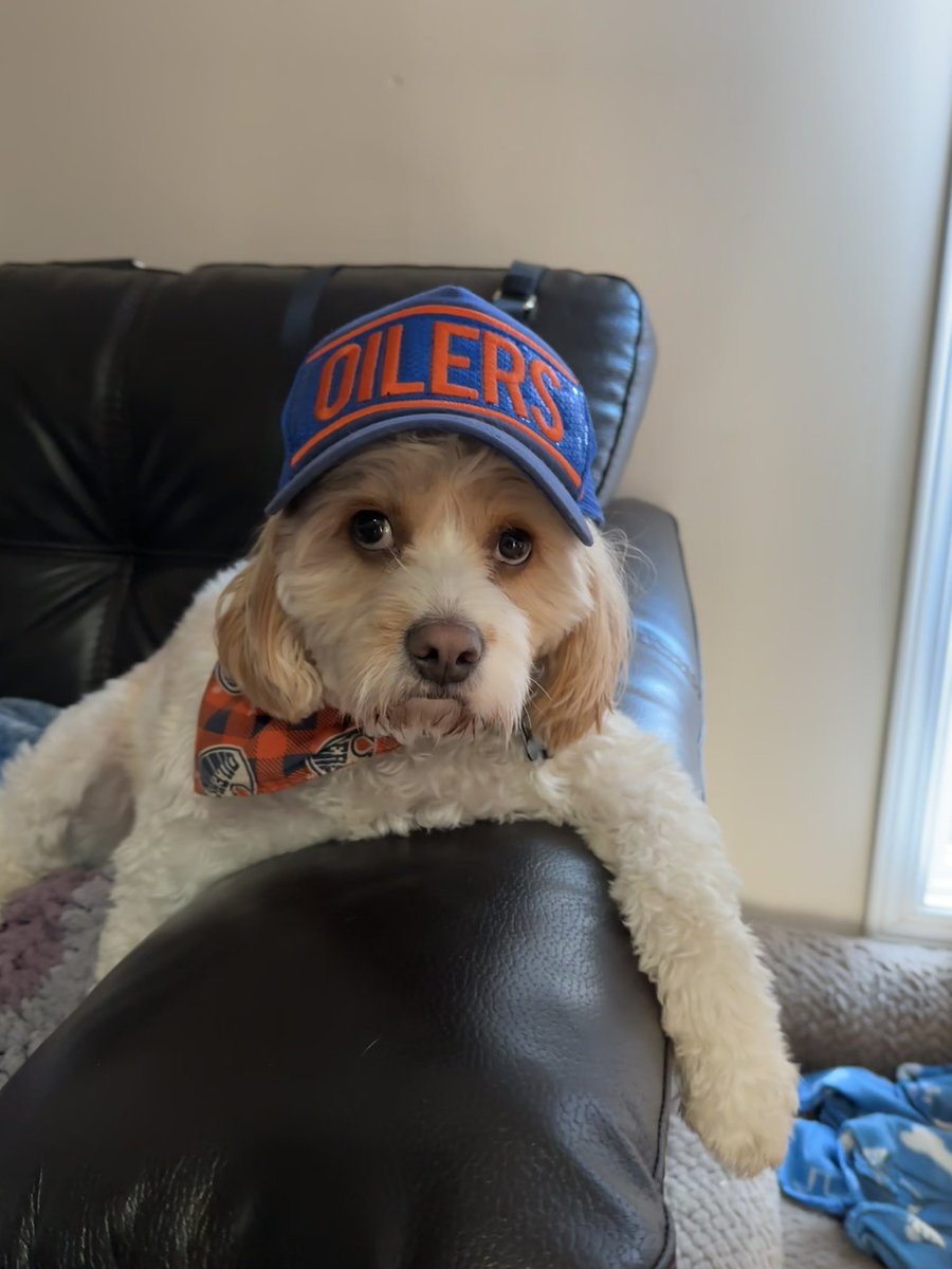 x-𝒞𝒽𝒶𝓇 💙🧡 tweet media