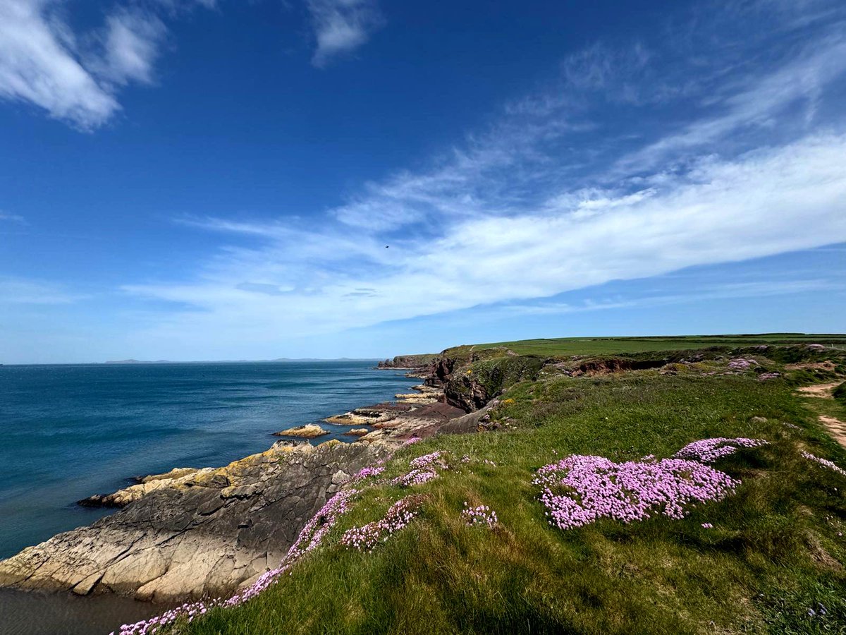Richard_M_Owen's tweet image. #cymruambyth 🏴󠁧󠁢󠁷󠁬󠁳󠁿
#spring #isolation #peace ✌🏽
#home  #pembrokeshire #coast