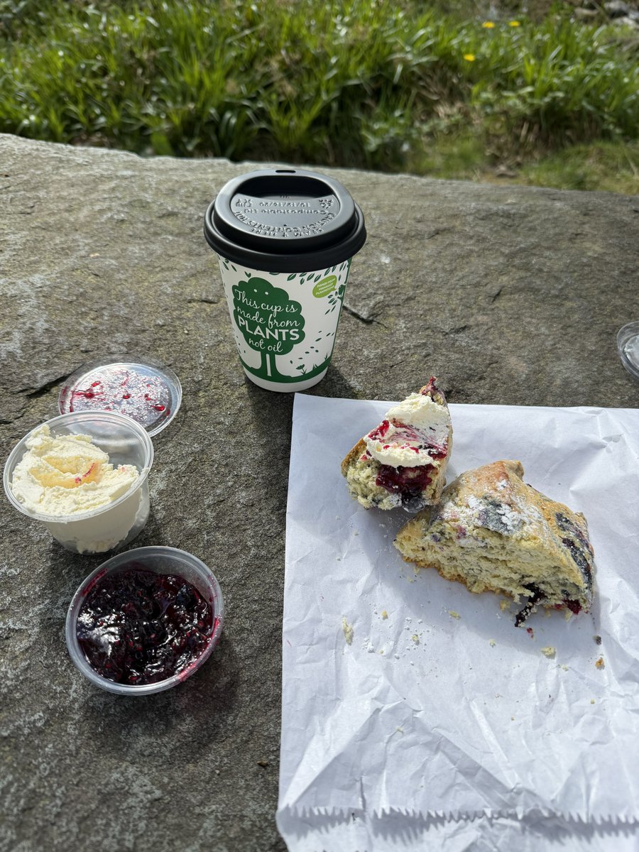 rly cool girl tweet media