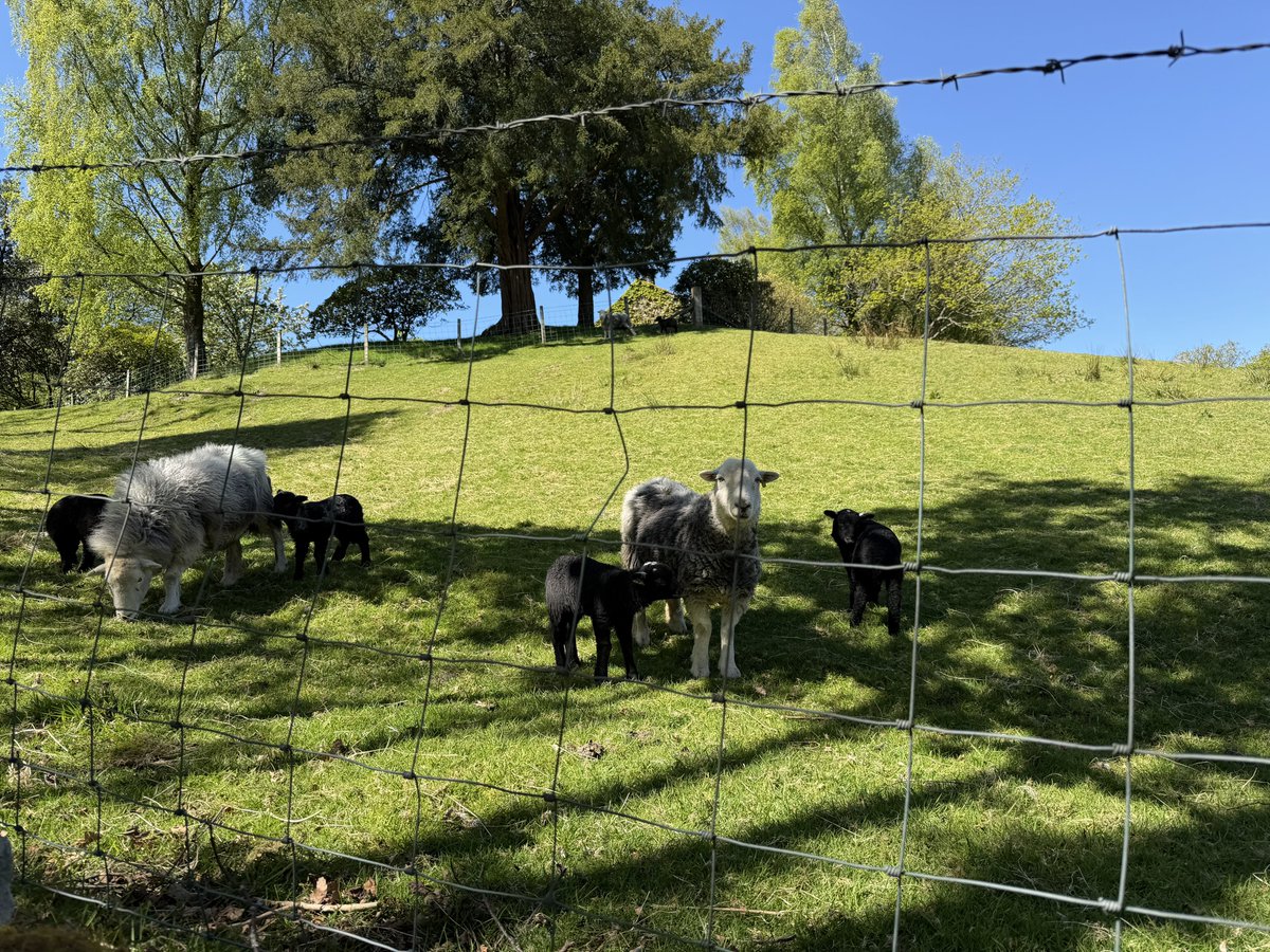 rly cool girl tweet media