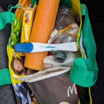 Photo by Old Critter Fighting Litter (@LitterOld)