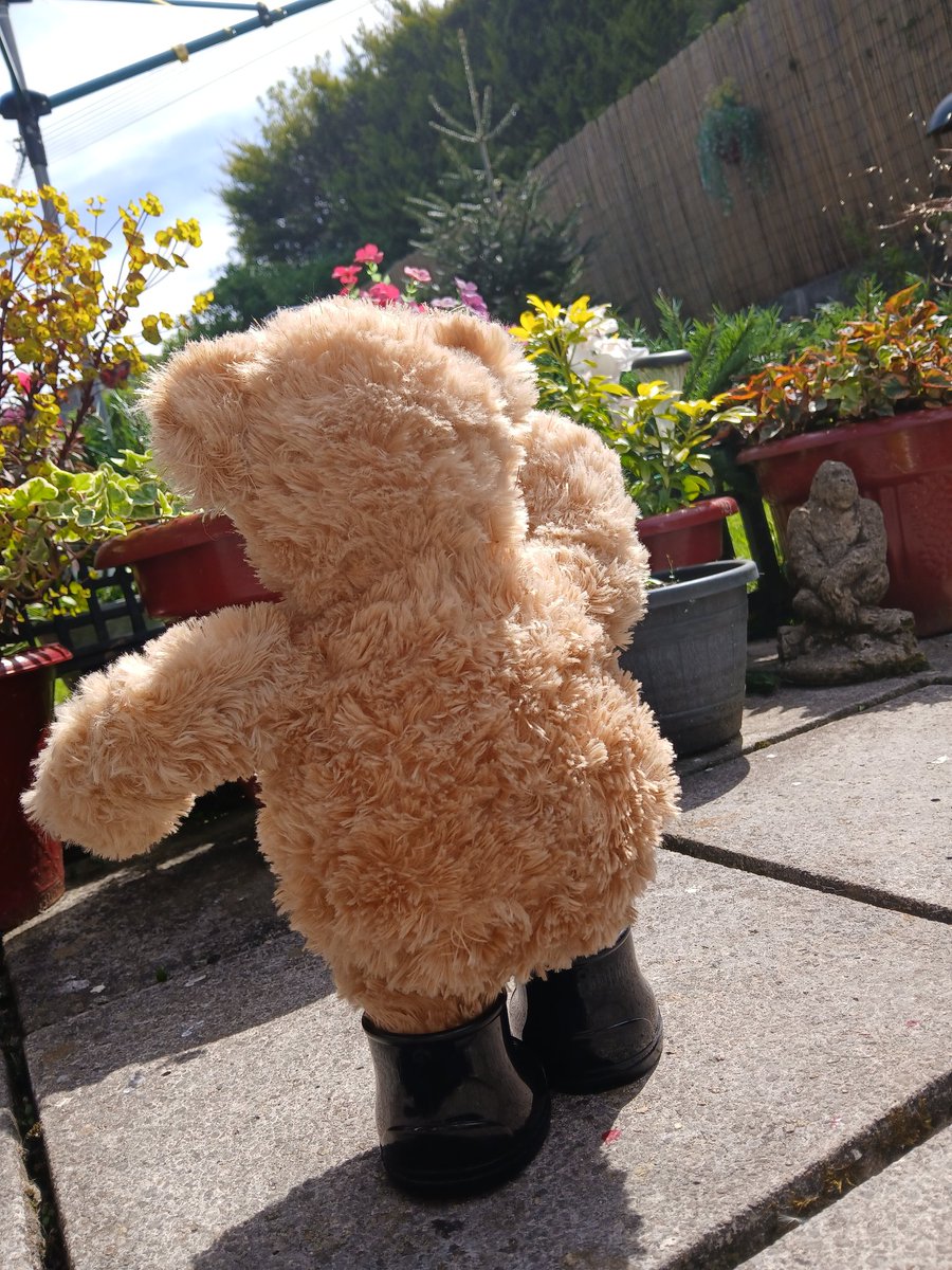 Edward🐻 tweet media