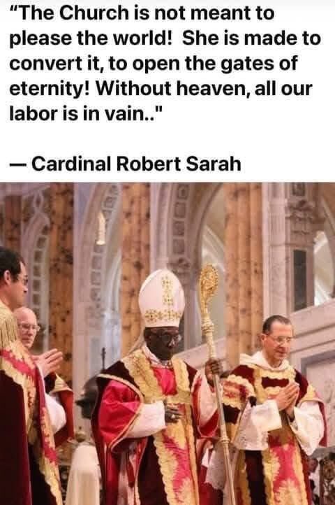 Fr. Daniel☦️ tweet media