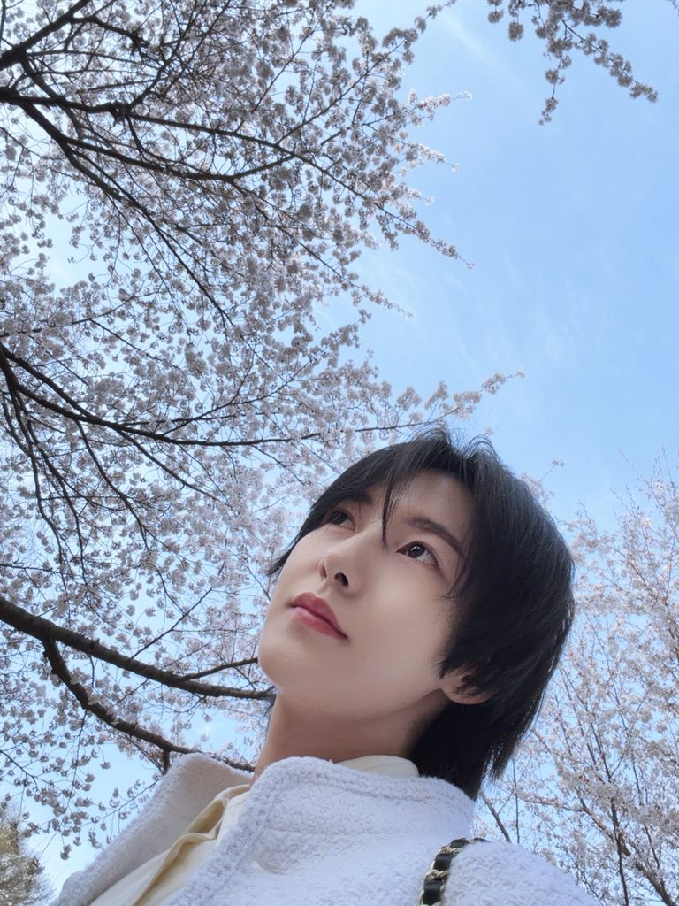 젠쥔ꔛ♡̷̷̷₊˚ 🎮🌸 tweet media