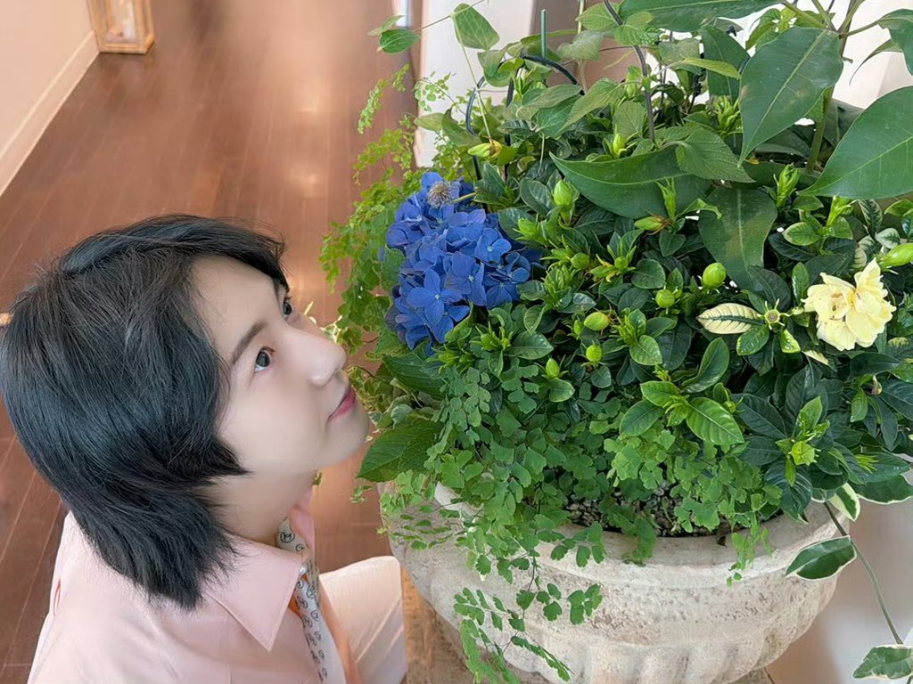 젠쥔ꔛ♡̷̷̷₊˚ 🎮🌸 tweet media