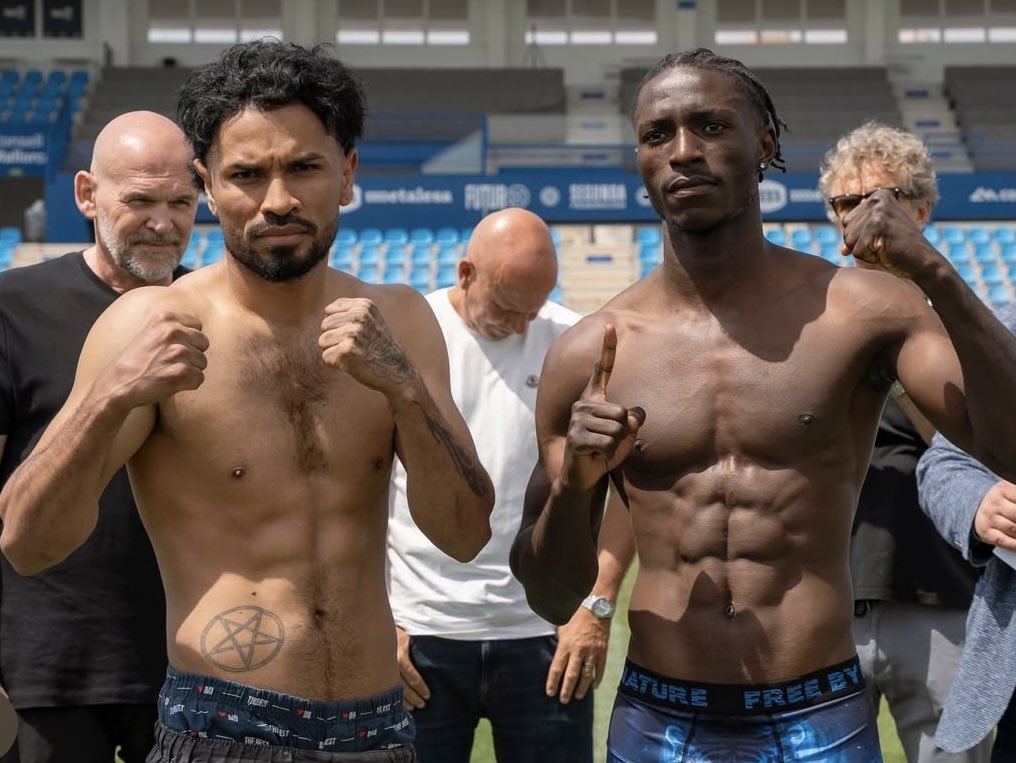 KO BOXING tweet media