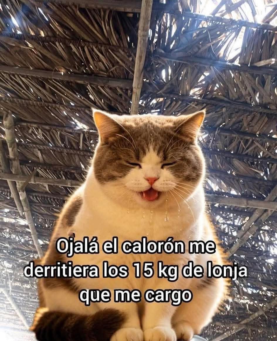 En Júpiter tweet media