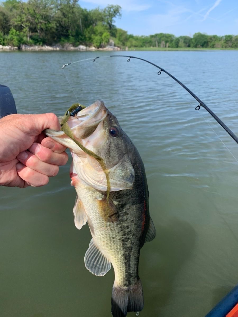 arleyderma's tweet photo. 🎣🐠🎣🐠 https://t.co/uNAMY706eg