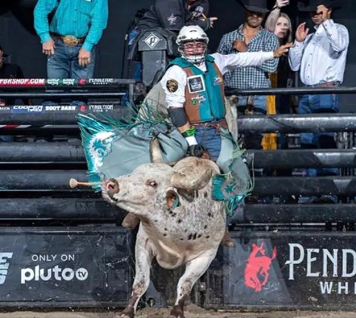 The Bull Riding Hall of Fame tweet media