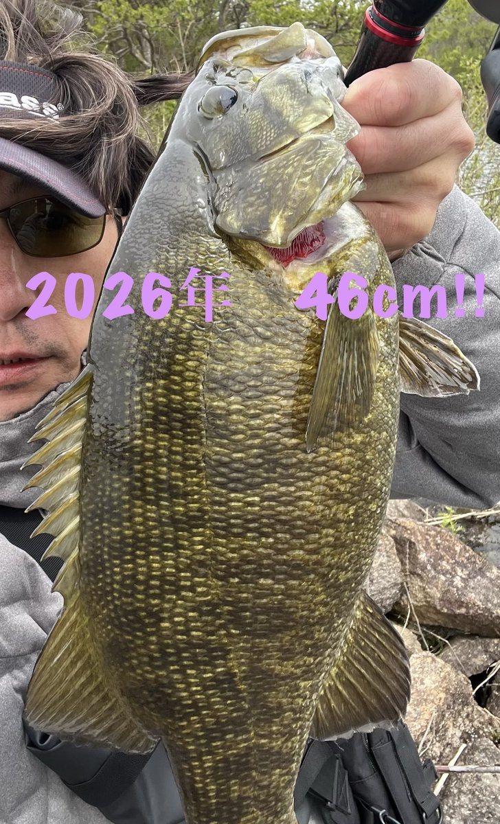 ARMS0719's tweet image. 3月15日から6回目の今日‼︎
やっと今年も出逢える事が出来ました😁

サイズは少し小さいですが、ブリっ‼︎ブリのブリ‼︎の文句無しの猪苗代バス‼︎

やっぱりこの体高は最高ですね💕

#Megabass
#ARMS SUPER.LEGGERA :ASL6113X
#TKﾂｲｽﾀｰjr
#Dream lake猪苗代