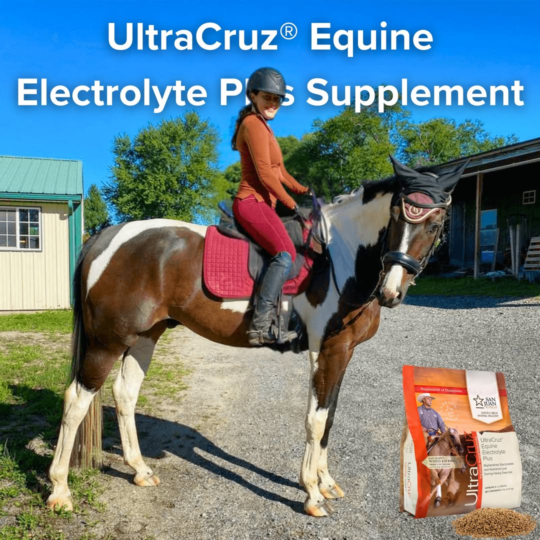 Ultra_Cruz's tweet photo. 𝑼𝒍𝒕𝒓𝒂𝑪𝒓𝒖𝒛® 𝑬𝒒𝒖𝒊𝒏𝒆 𝑬𝒍𝒆𝒄𝒕𝒓𝒐𝒍𝒚𝒕𝒆 𝑷𝒍𝒖𝒔 𝑺𝒖𝒑𝒑𝒍𝒆𝒎𝒆𝒏𝒕
🌞𝘙𝘦𝘱𝘭𝘦𝘯𝘪𝘴𝘩𝘦𝘴 𝘦𝘭𝘦𝘤𝘵𝘳𝘰𝘭𝘺𝘵𝘦𝘴
🌞𝘊𝘢𝘯 𝘴𝘶𝘱𝘱𝘰𝘳𝘵 𝘮𝘶𝘴𝘤𝘭𝘦 𝘥𝘦𝘷𝘦𝘭𝘰𝘱𝘮𝘦𝘯𝘵
🌞𝘊𝘢𝘯 𝘱𝘳𝘰𝘮𝘰𝘵𝘦 𝘱𝘰𝘴𝘵-𝘦𝘹𝘦𝘳𝘤𝘪𝘴𝘦 𝘳𝘦𝘤𝘰𝘷𝘦𝘳𝘺 https://t.co/b2AHPHSetd