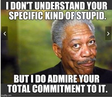 Fabi Lydia tweet media