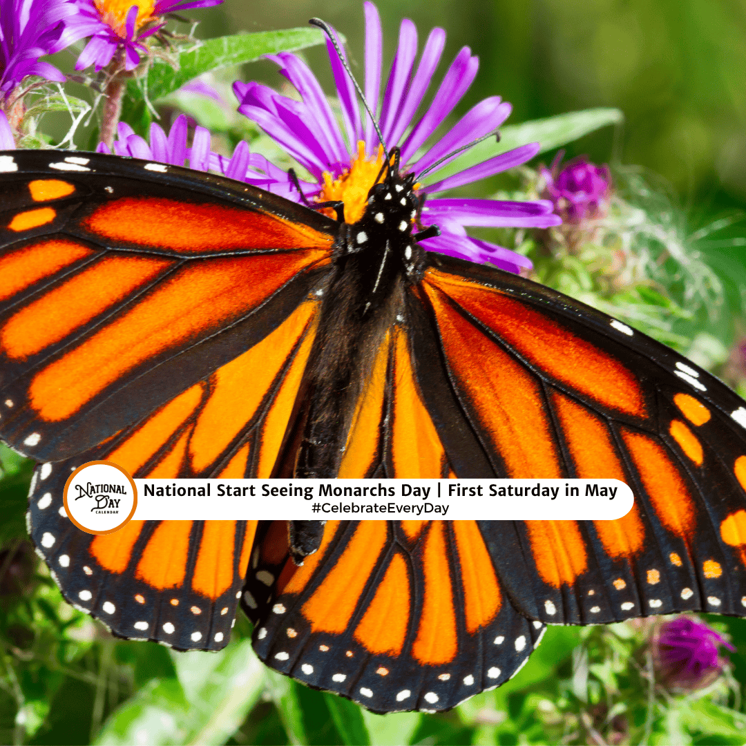 CelebrateNDC's tweet image. Tag a friend who loves nature! 🦋 Today is all about protecting the Monarch butterfly. Let’s help these beauties thrive by planting some milkweed! 🌸

#StartSeeingMonarchsDay #NationalDayCalendar #CelebrateEveryDay