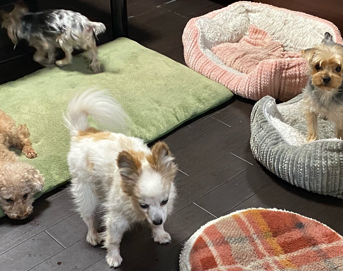 榊 柾人@模型つくるよ tweet media