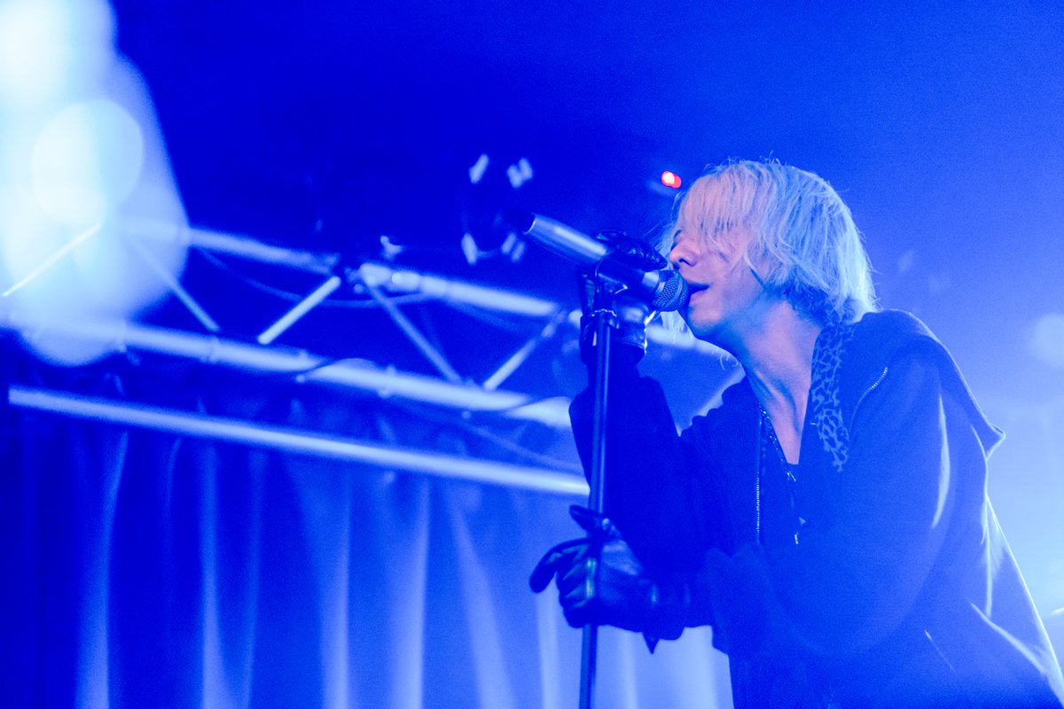 Loutre in Abyss Official tweet media