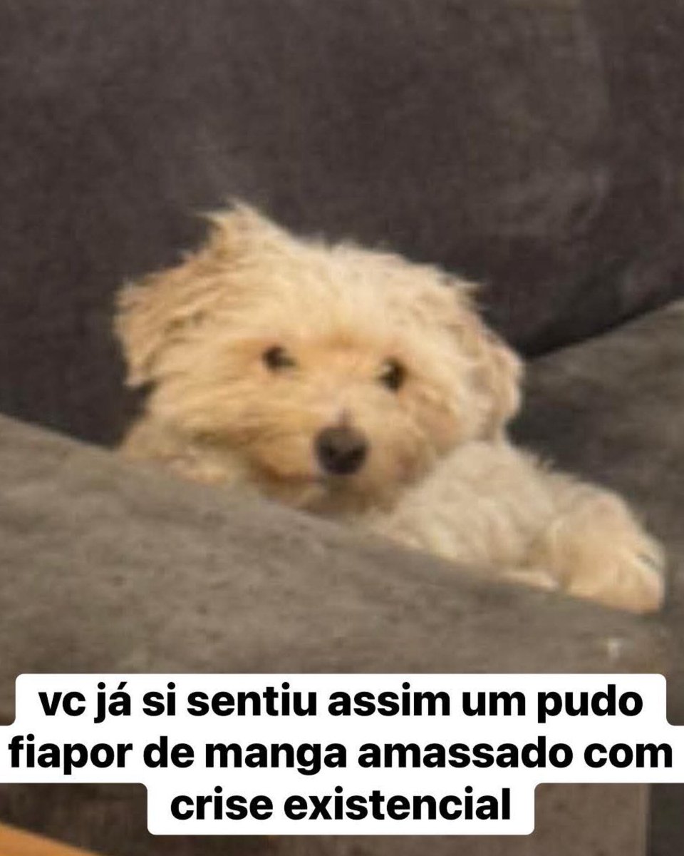 meu chefe me contando que o filho dele de 18 anos passou em 14 universidades estadunidenses, 2 britânicas e na usp e ufrj