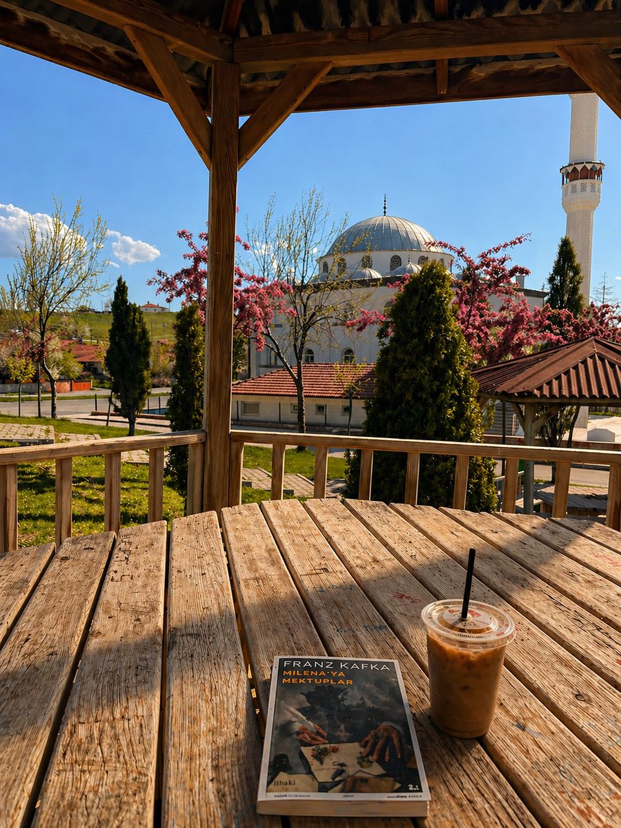 burcu Akyol tweet media