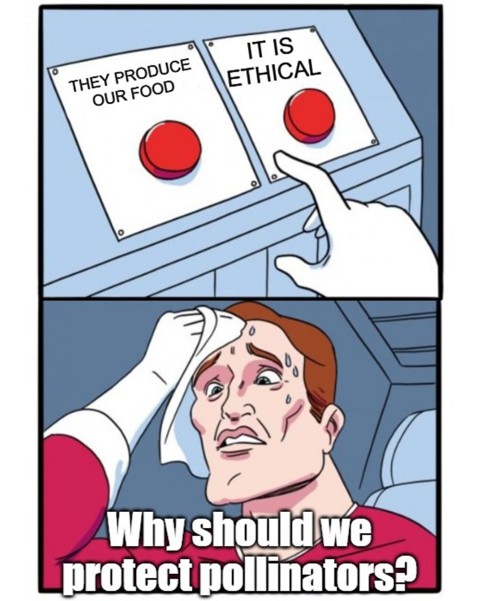 EU Environment tweet media