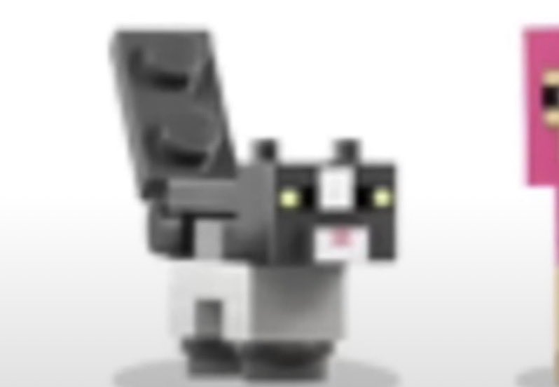 Di53's tweet photo. @gtwscar Jellie! Lego!!

She's on the left middle side of the box. Set 21596 https://t.co/jVV7incSWZ