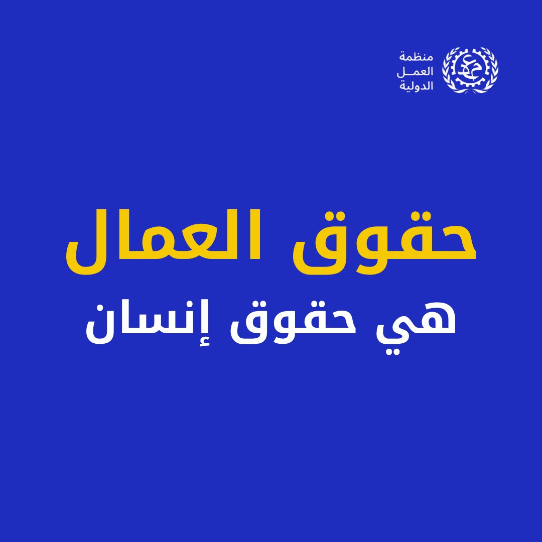 الأمم المتحدة tweet media